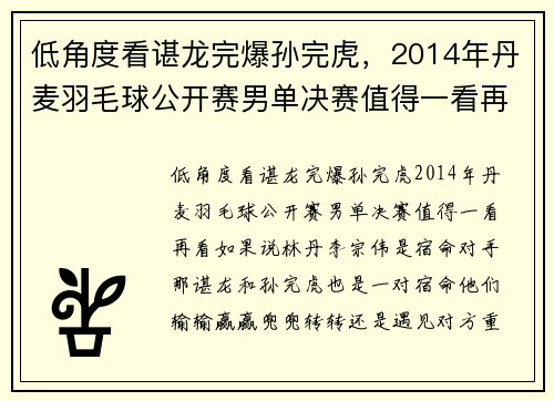 低角度看谌龙完爆孙完虎，2014年丹麦羽毛球公开赛男单决赛值得一看再看